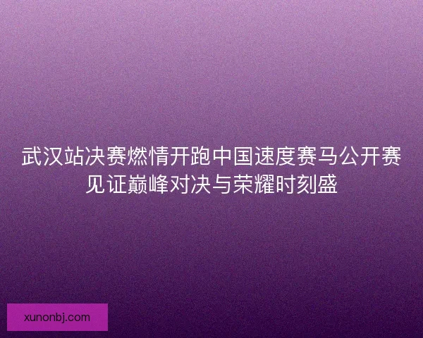 武汉站决赛燃情开跑中国速度赛马公开赛见证巅峰对决与荣耀时刻盛