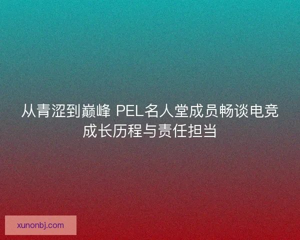 从青涩到巅峰 PEL名人堂成员畅谈电竞成长历程与责任担当 从青涩到巅峰 PEL名人堂成员畅谈电竞成长历程与责任担当