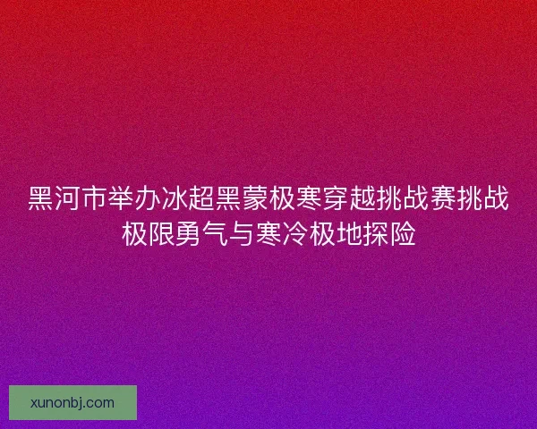 黑河市举办冰超黑蒙极寒穿越挑战赛挑战极限勇气与寒冷极地探险 黑河市举办冰超黑蒙极寒穿越挑战赛挑战极限勇气与寒冷极地探险